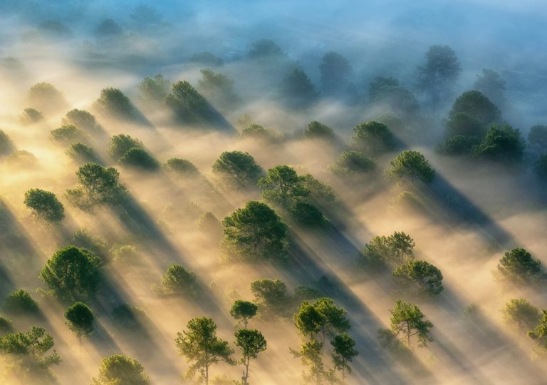 Рыбаки Инле и чёрные лебеди: 2026 Nandagang International Wetland Photo Contest — фото 10
