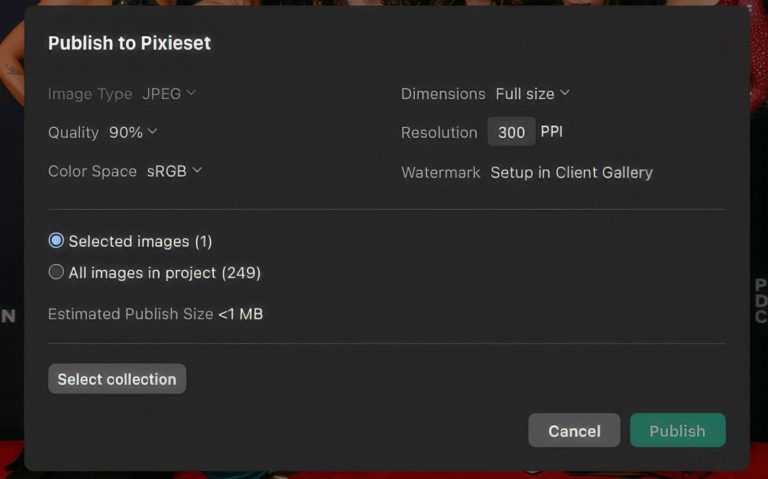 Pixieset Photo Editor — ИИ-отбор и RAW-конвертер со сдачей прямо в галерею клиента — фото 10