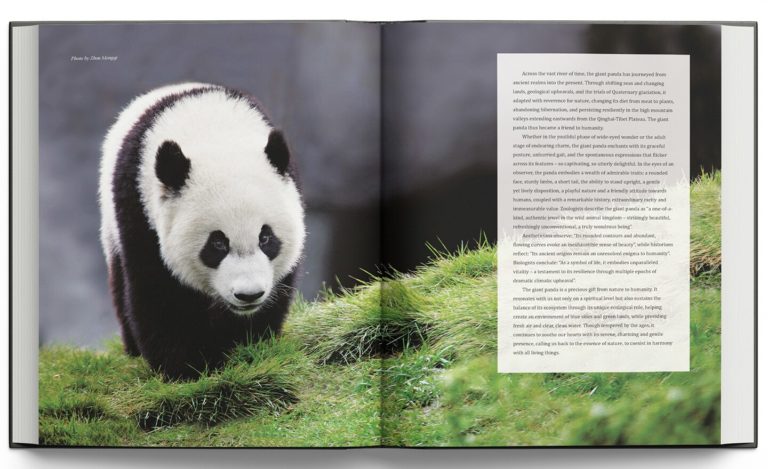 Фотокнига Giant Panda: смотрители в костюмах панд и трёхлапый Дай Ли — фото 4