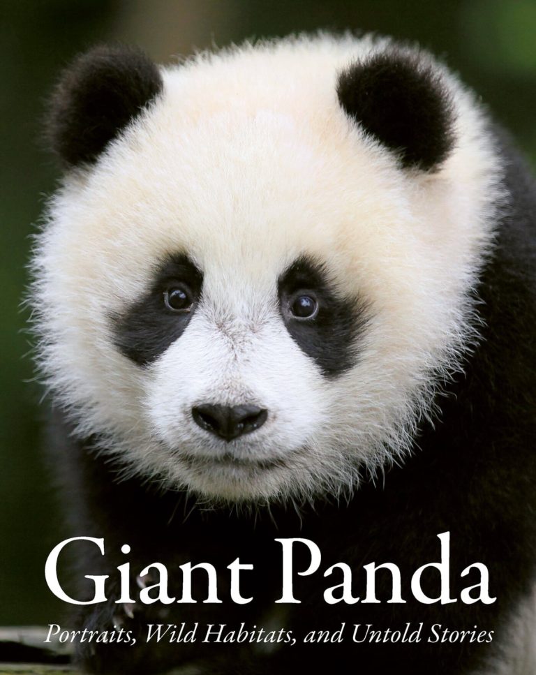 Фотокнига Giant Panda: смотрители в костюмах панд и трёхлапый Дай Ли — фото 7