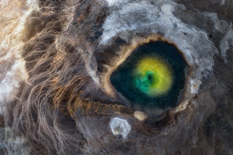 Белый горбатый китёнок взял главный приз World Nature Photography Awards 2026 — фото 8