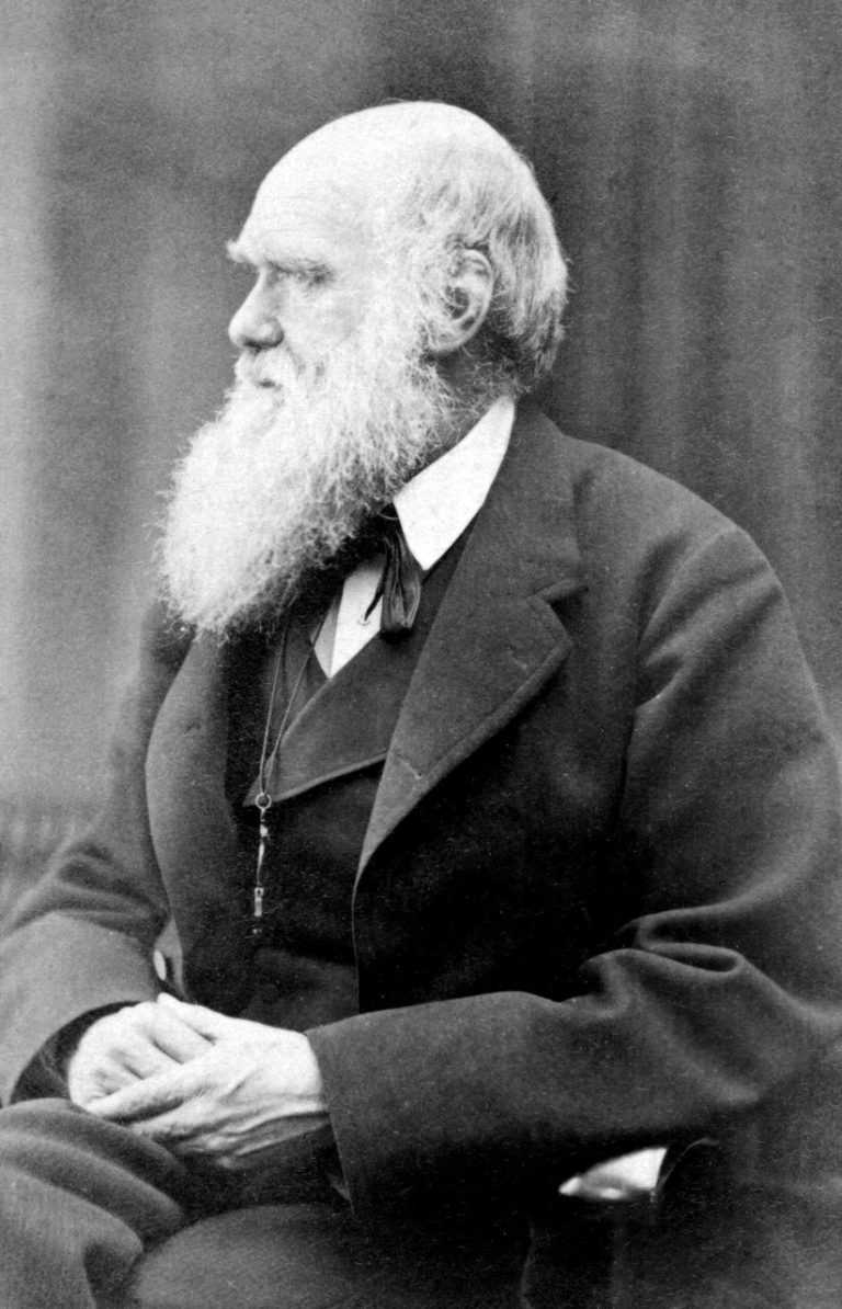 213 лет назад родился Оскар Рейландер — отец фотомонтажа и художественной фотографии — фото 10