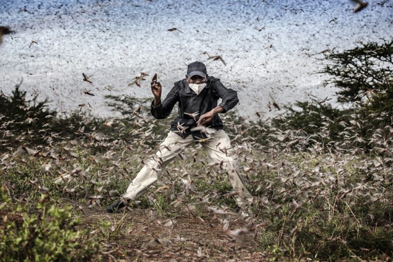 World Press Photo 2027 возвращает природу и спорт — две новые награды — фото 8