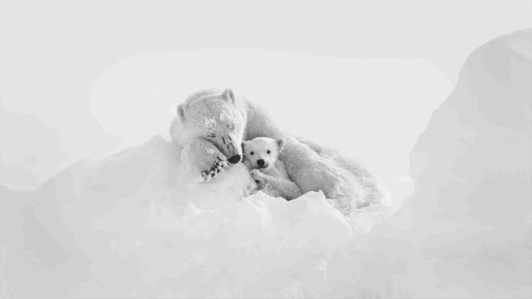 World Travel Photography Awards 2026: бесплатно принимают снимки из поездок до 9 ноября — фото 4