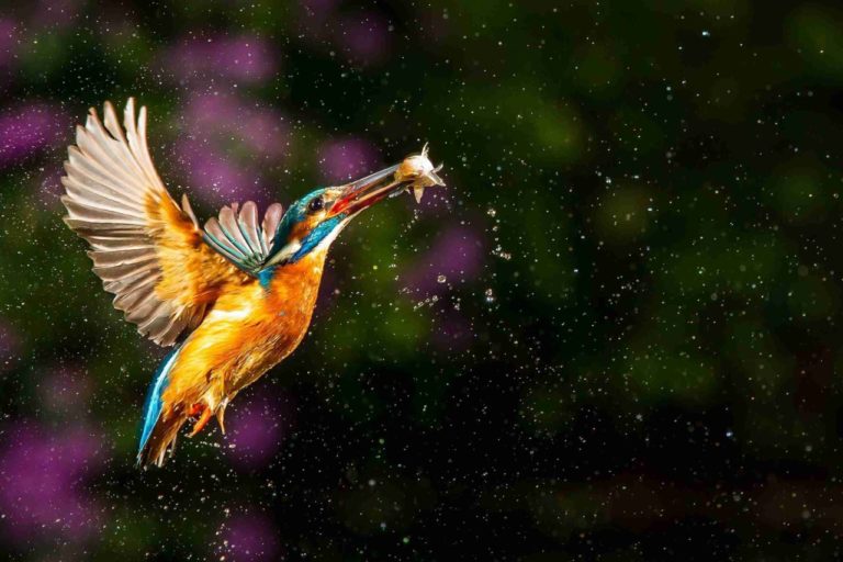 World Travel Photography Awards 2026: бесплатно принимают снимки из поездок до 9 ноября — фото 8