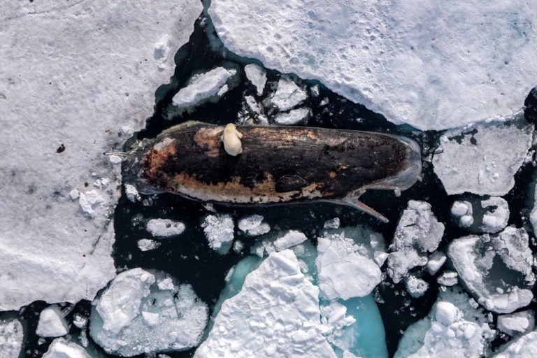 Fujifilm продлила партнёрство с World Press Photo до 2030 года — фото 9