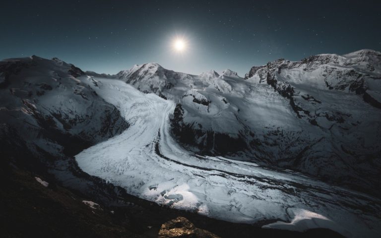 74-й Nikkor Photo Contest: лучший кадр года — олуша на охоте под водой — фото 4