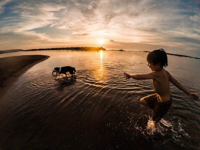 74-й Nikkor Photo Contest: лучший кадр года — олуша на охоте под водой — фото 8