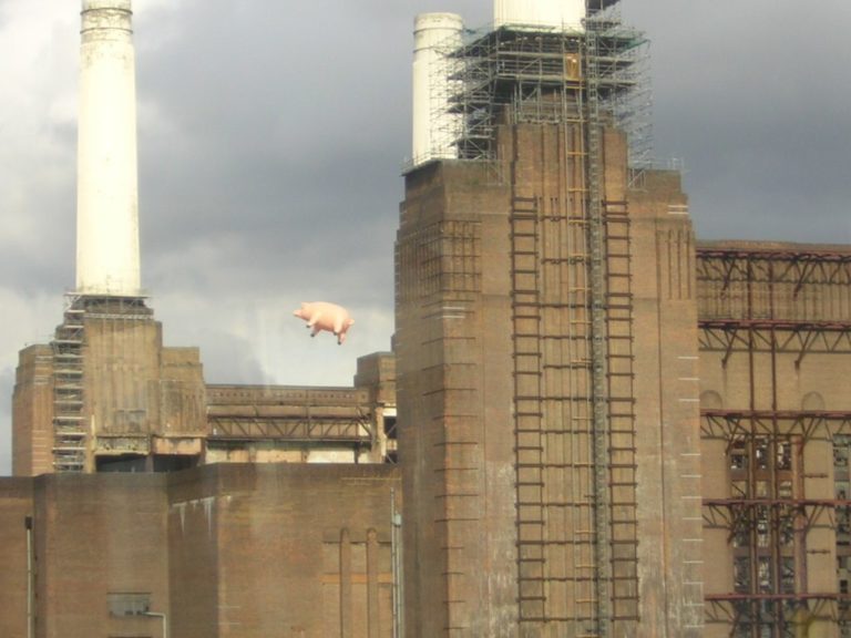 Свинья сорвалась и улетела в сторону Хитроу: как снимали обложку Pink Floyd «Animals» — фото 8