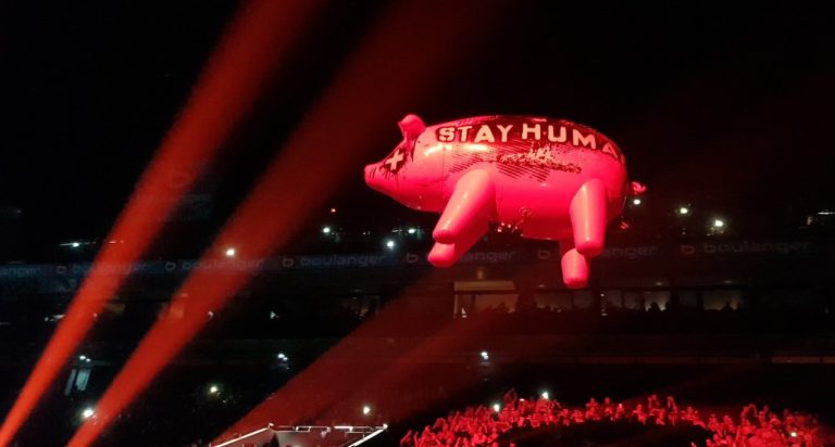 Свинья сорвалась и улетела в сторону Хитроу: как снимали обложку Pink Floyd «Animals» — фото 9