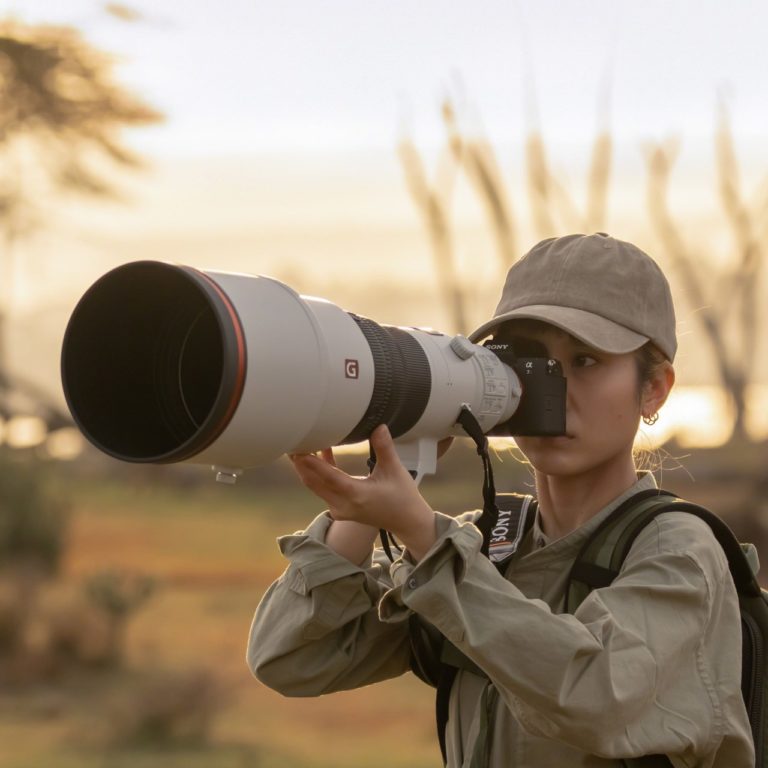 Sony a7R VI получила прошивку 1.02 с Preset Focus для обычных объективов — фото 3