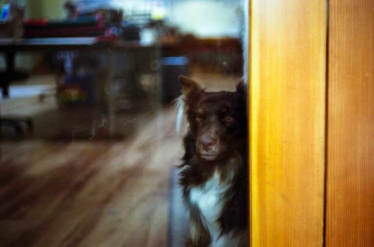 Kodak ColorPlus 200 — самая доступная цветная плёнка Kodak с мягкими цветами из 80-х — фото 6