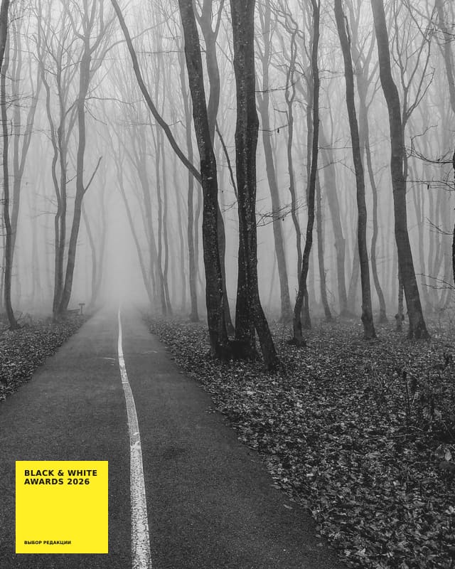 Artkoko Black & White Awards 2027 — конкурс чёрно-белой фотографии, первый кадр бесплатно — фото 3