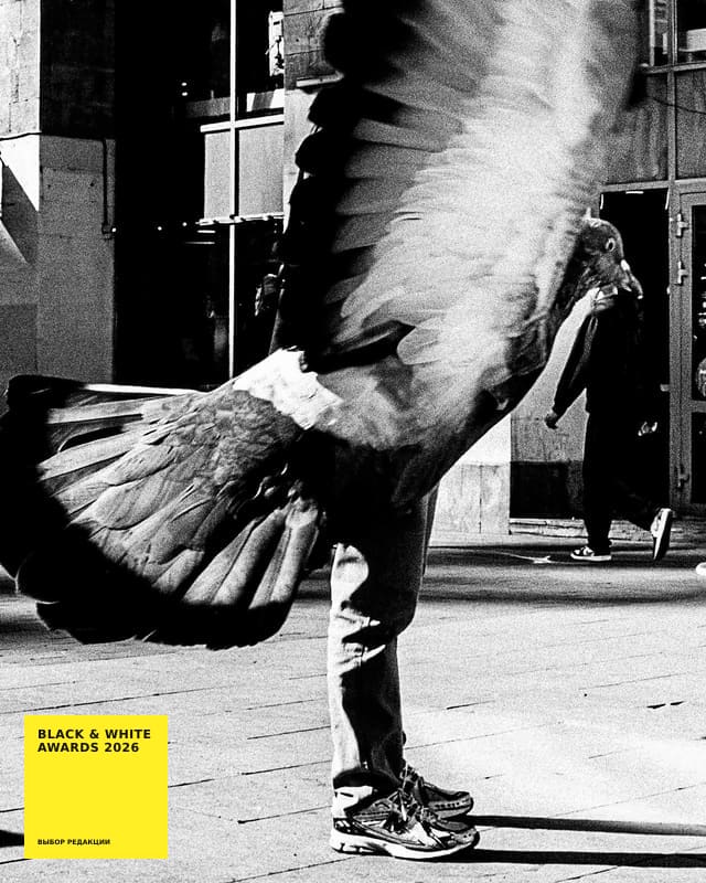 Artkoko Black & White Awards 2027 — конкурс чёрно-белой фотографии, первый кадр бесплатно — фото 8