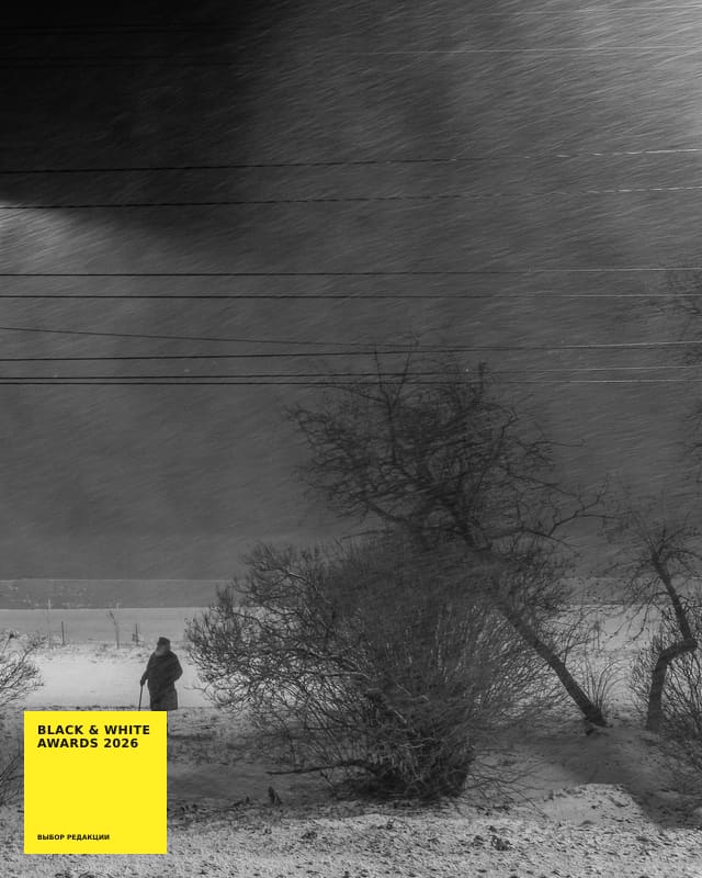 Artkoko Black & White Awards 2027 — конкурс чёрно-белой фотографии, первый кадр бесплатно — фото 10
