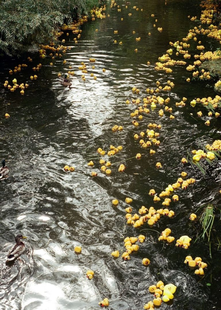 The Colour Library: Yellow — фотокнига из 100 снимков самого солнечного цвета — фото 3