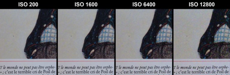 Какое ISO ставить: шпаргалка от солнечного дня до концерта в тёмном зале — фото 2