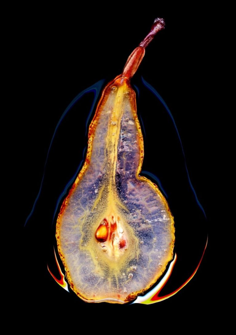 World Food Photography Awards 2027 завёл отдельную номинацию для новичков — фото 3