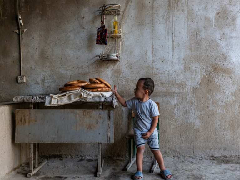 World Food Photography Awards 2027 завёл отдельную номинацию для новичков — фото 4